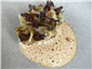 John Dory
